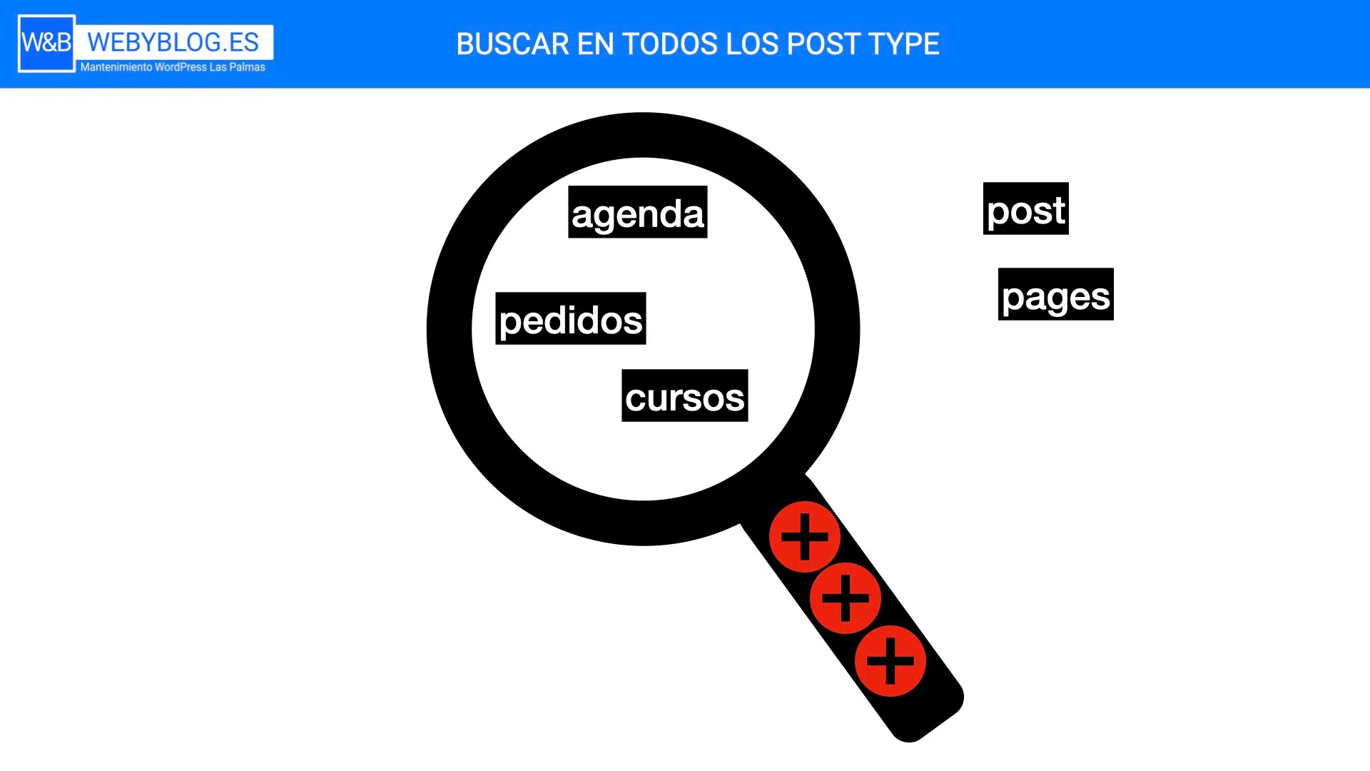 ¿Como hacer para que WordPress busque en todos los Post Types?