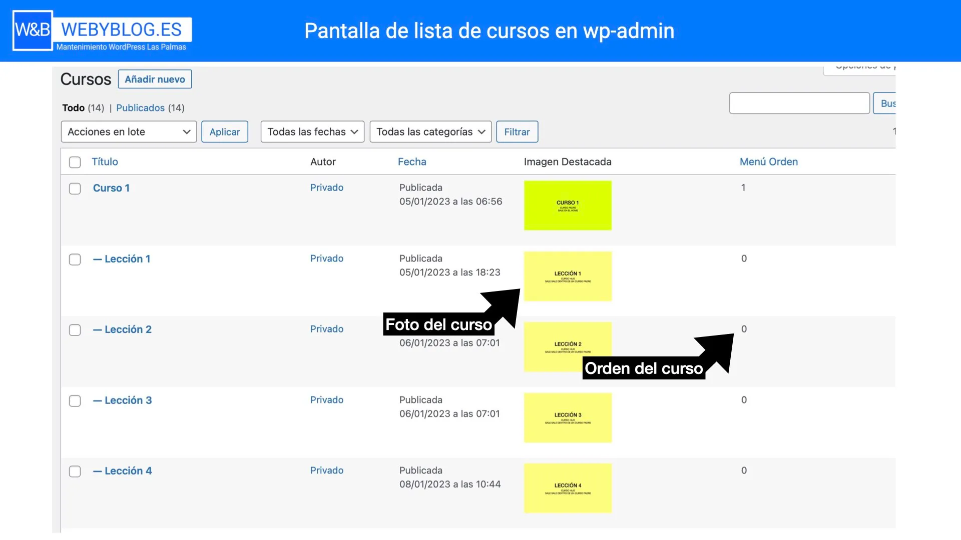 plugin-academia-online-gratis-007.jpeg