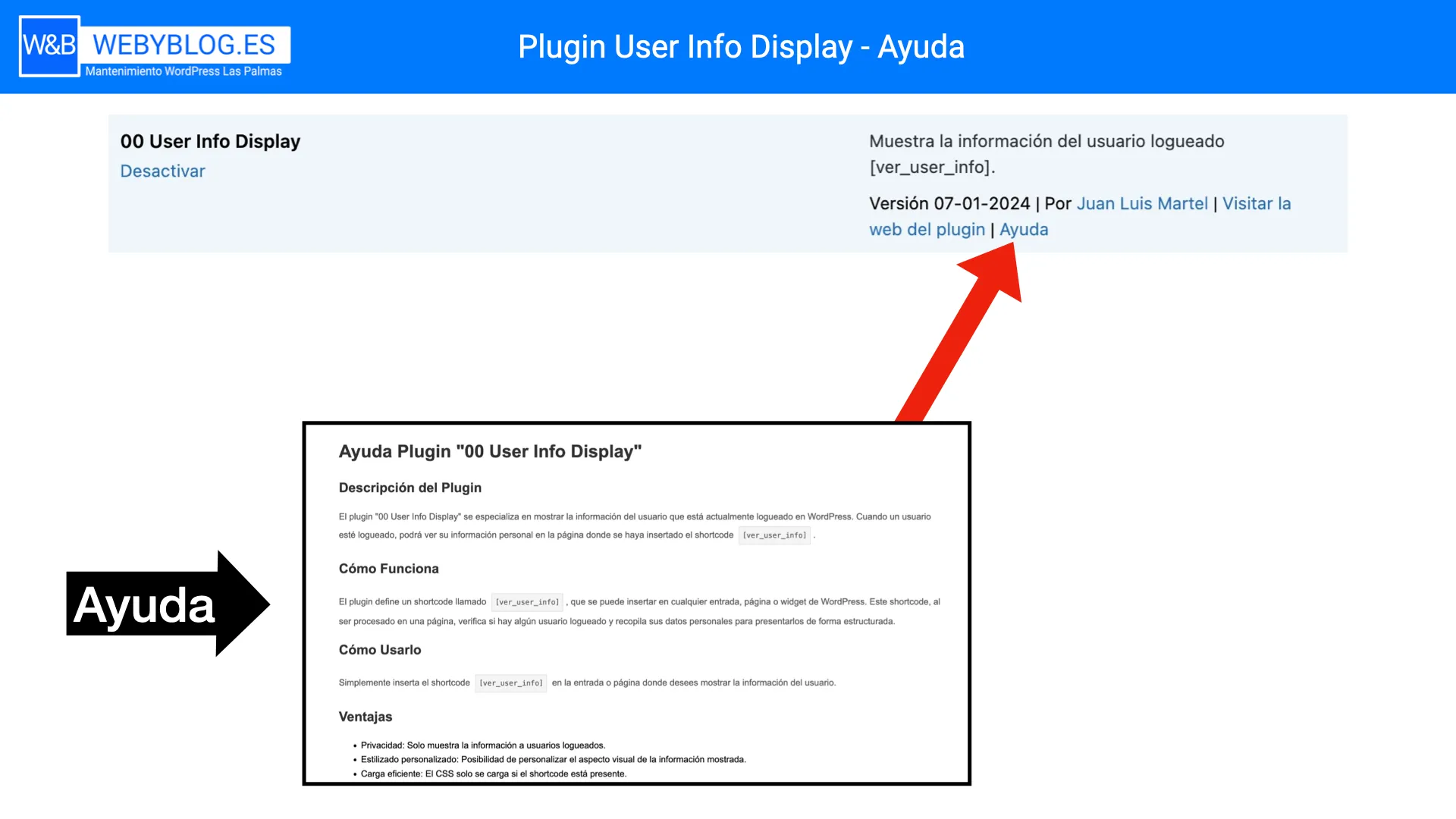 plugin-user-info-display.002.jpeg